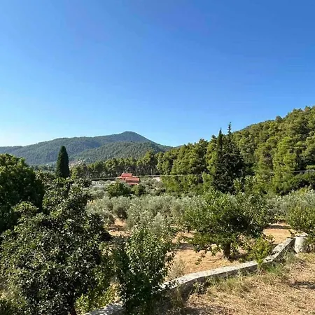 Elia House